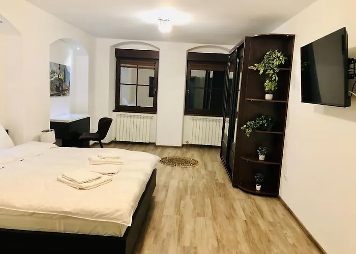 Joy City Stay George Enescu 5