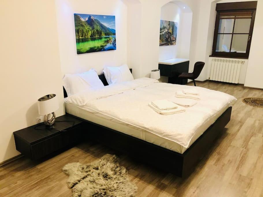 Joy George Enescu 5 *